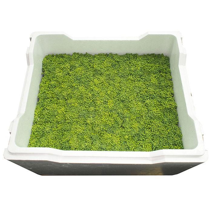徳島県産 菜の花 約200g結束×20束入り（1箱） : 生鮮卸売市場 - 通販