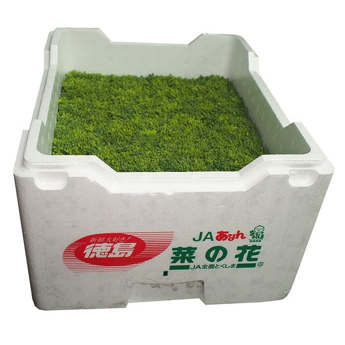 徳島県産 菜の花 約200g結束×20束入り（1箱） : 生鮮卸売市場 - 通販