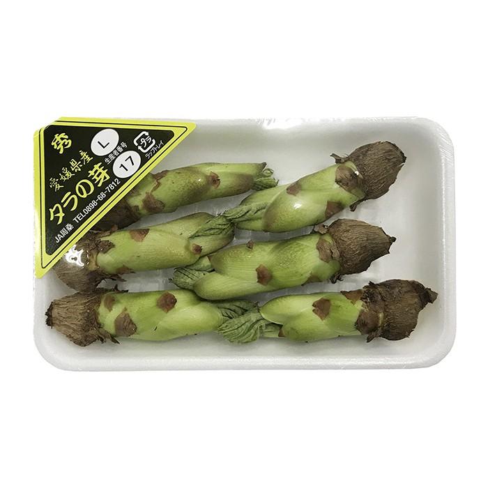 愛媛県産 タラの芽 Lサイズ 1パック : 生鮮卸売市場 - 通販 - Yahoo