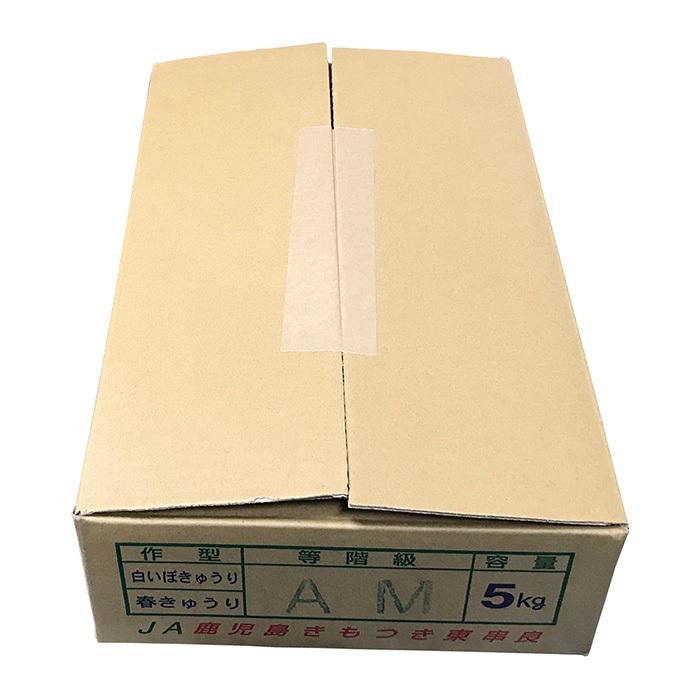 鹿児島県産 白いぼきゅうり M〜Lサイズ 5kg （箱） 国産 きゅうり