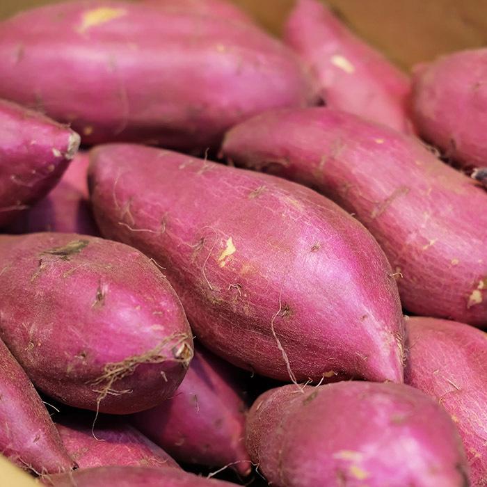 茨城県産（JA茨城旭村）さつまいも シルクスイート 特秀 Mサイズ 約5kg