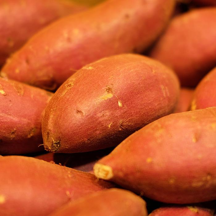 茨城県産（JA茨城旭村）さつまいも シルクスイート 特秀 Sサイズ 約5kg