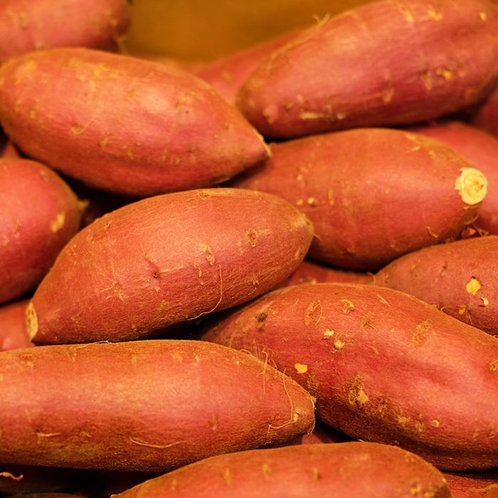 茨城県産（JA茨城旭村）さつまいも シルクスイート 特秀 Sサイズ 約5kg