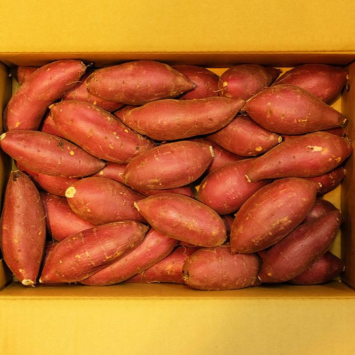 茨城県産（JA茨城旭村）さつまいも シルクスイート 特秀 Sサイズ 約5kg