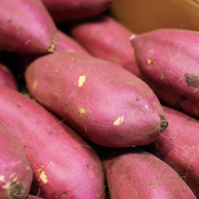 茨城県産（JA茨城旭村）さつまいも シルクスイート 特秀 Lサイズ 約5kg