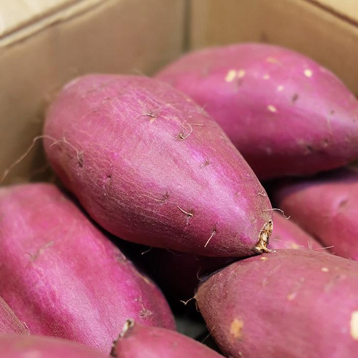 茨城県産（JA茨城旭村）さつまいも シルクスイート 特秀 Lサイズ 約5kg