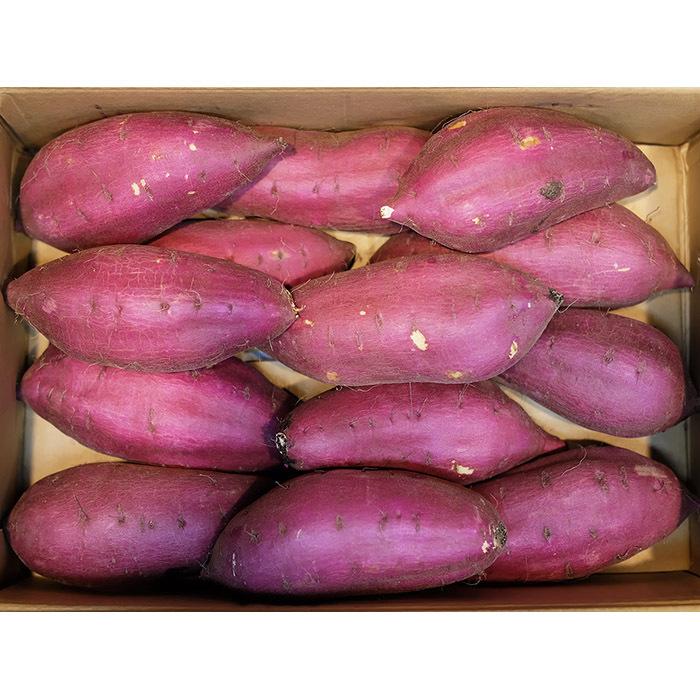 茨城県産（JA茨城旭村）さつまいも シルクスイート 特秀 Lサイズ 約5kg