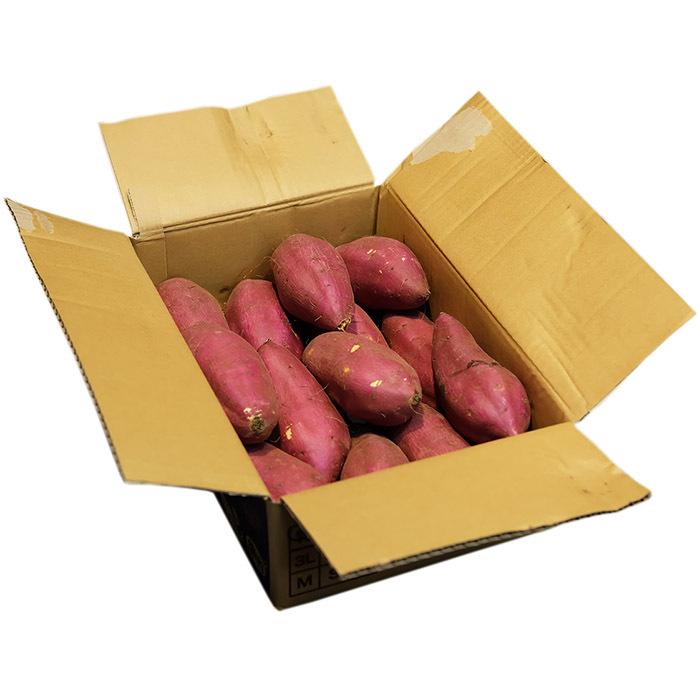 茨城県産（JA茨城旭村）さつまいも シルクスイート 特秀 Lサイズ 約5kg