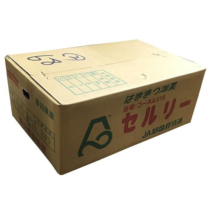 静岡県産他 セルリー （セロリ） L〜2Lサイズ 5〜6束入り （箱