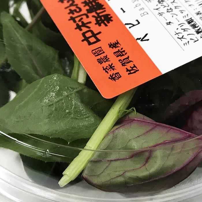 佐賀県産 ベビーリーフ 1パック（50g） : 生鮮卸売市場 - 通販 - Yahoo