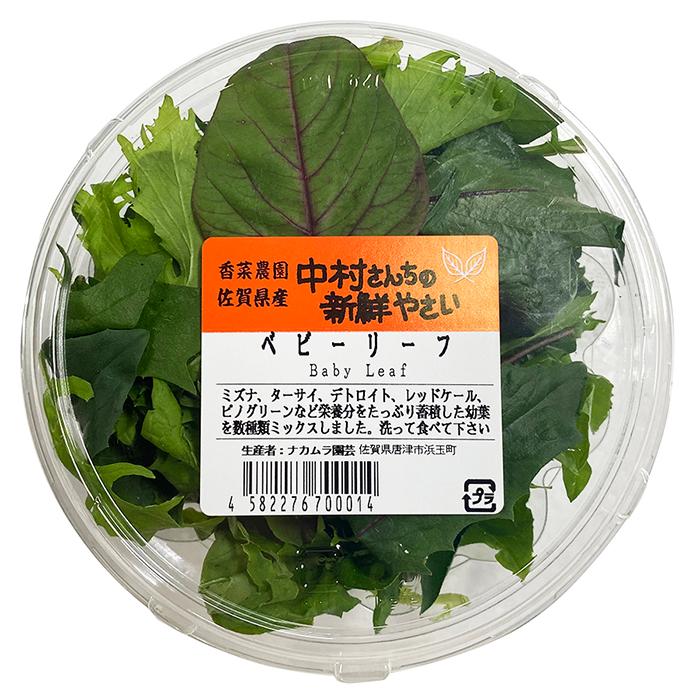 食品 4000㌘ 新鮮！シャキシャキベビーリーフ