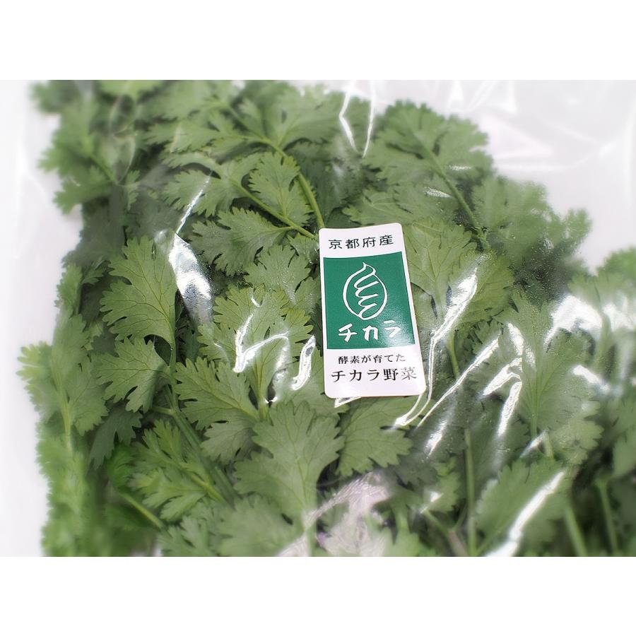 期間限定　パクチー　業務用　5Kg クール便　香菜　飲食店用 期間限定 パクチー 業務用 5Kg クール便 香菜 飲食店用 期間限定