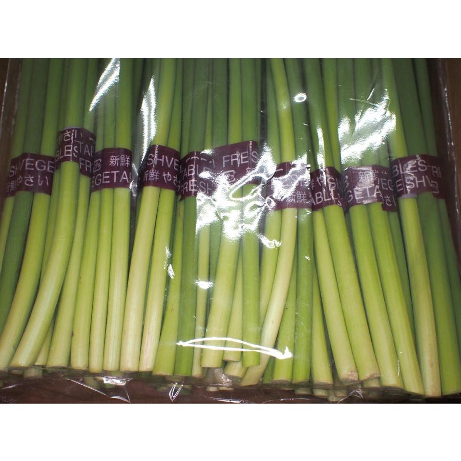 中国産 にんにくの芽 10束入×5袋 （50束入） 箱 業務用 小束 セット 