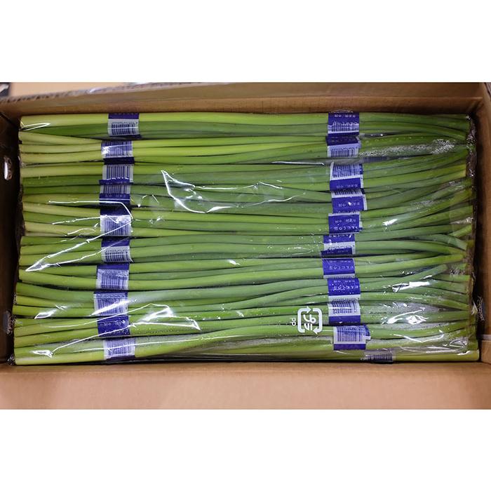 中国産 にんにくの芽 10束入×5袋 （50束入） 箱 業務用 小束 セット 