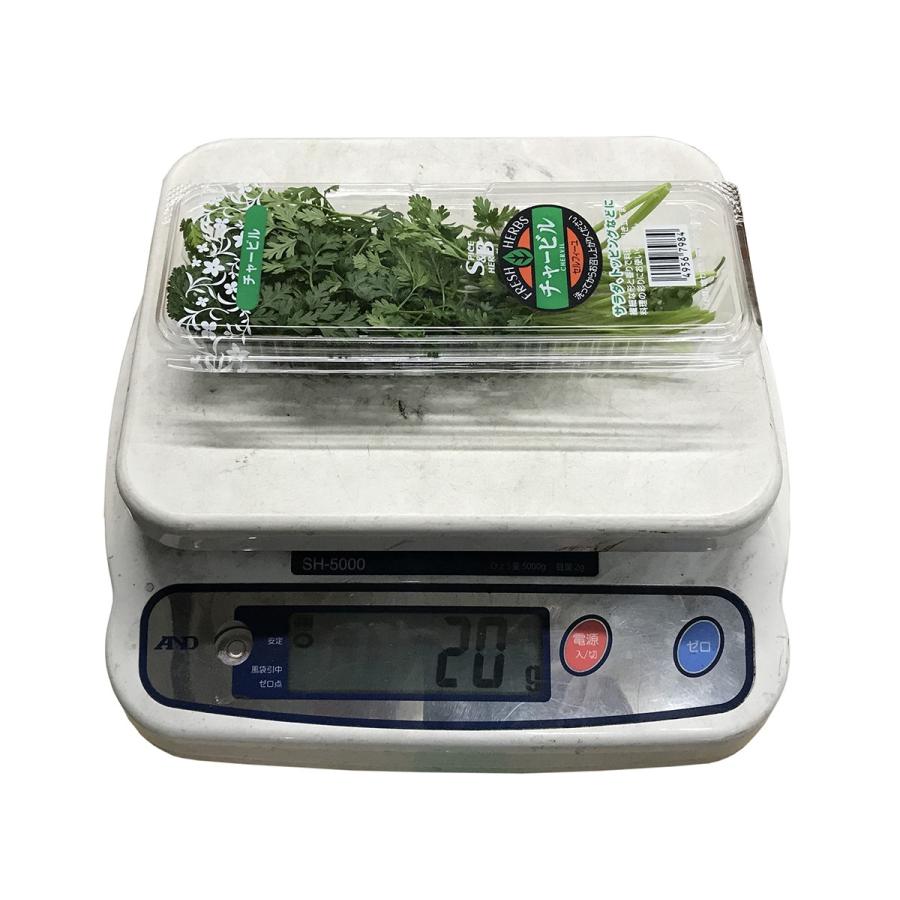 国産 チャービル 1パック 食用 ハーブ : 生鮮卸売市場 - 通販 - Yahoo