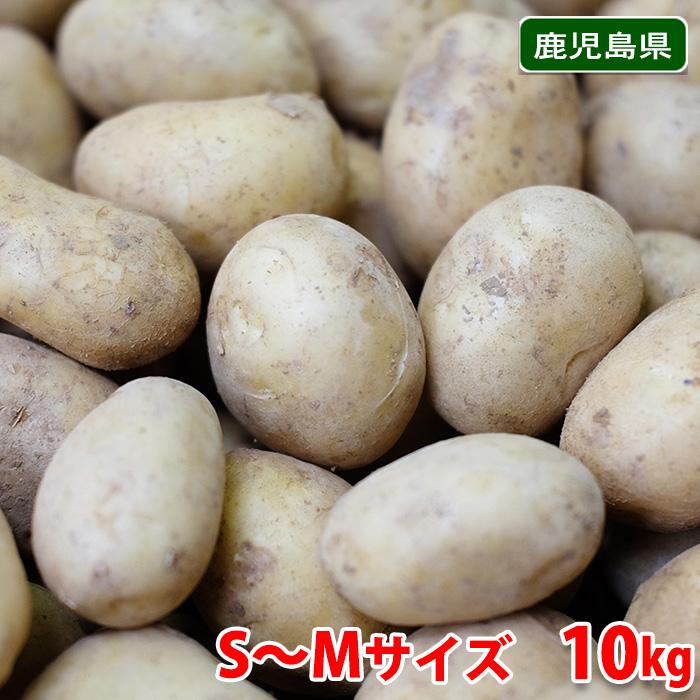 鹿児島県産 沖永良部 ゴールド じゃがいも A等級 S〜Mサイズ 鹿児島県産 沖永良部 ゴールド じゃがいも A等級 S〜Mサイズ