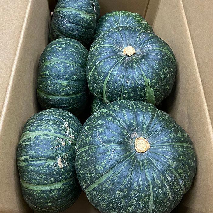 長崎県産 かぼちゃ A等級 M〜Lサイズ 7〜8玉入 10kg（1箱） : 生鮮卸売