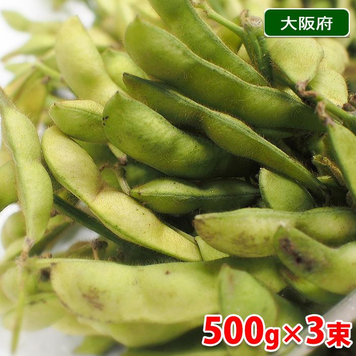 大阪府産 黒枝豆 （枝付き） 500g×3束 : 生鮮卸売市場 - 通販 - Yahoo