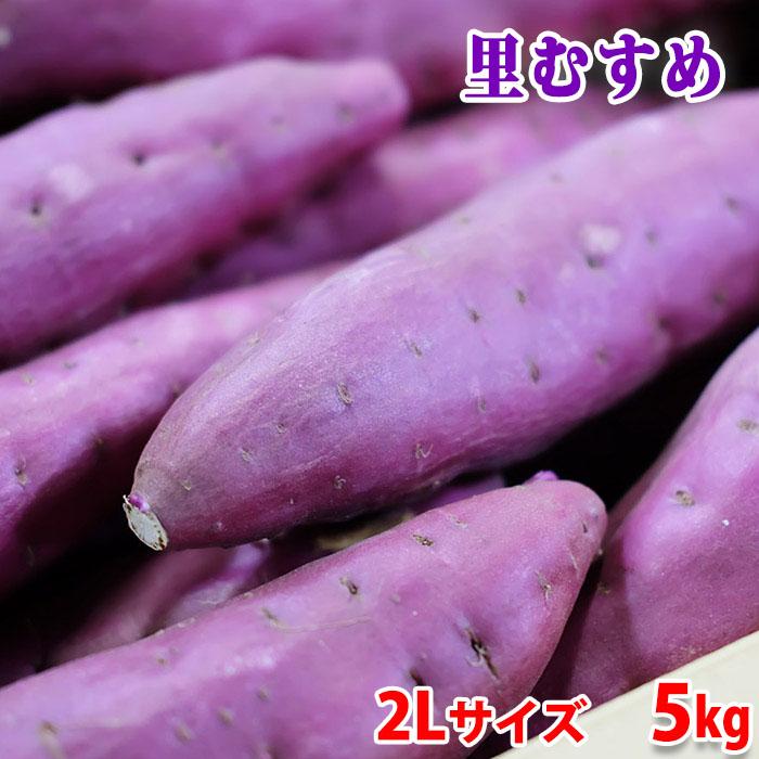 徳島県産（JA里浦）さつまいも なると金時 「里むすめ」 秀品 2Lサイズ