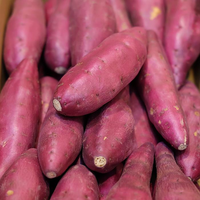 徳島県産（徳長芋屋本舗）さつまいも ハロウィンスイート 秀品 Mサイズ