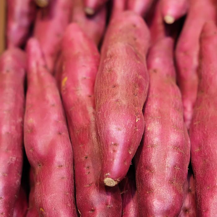 徳島県産（徳長芋屋本舗）さつまいも ハロウィンスイート 秀品 Mサイズ