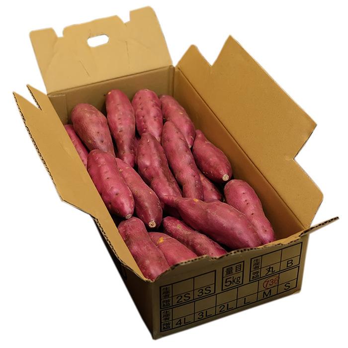 徳島県産（徳長芋屋本舗）さつまいも ハロウィンスイート 秀品 Mサイズ