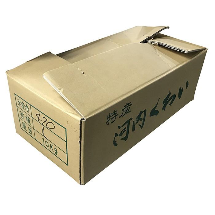大阪府産 くわい （クワイ・慈姑） 秀品 Mサイズ 約1kg （袋詰め