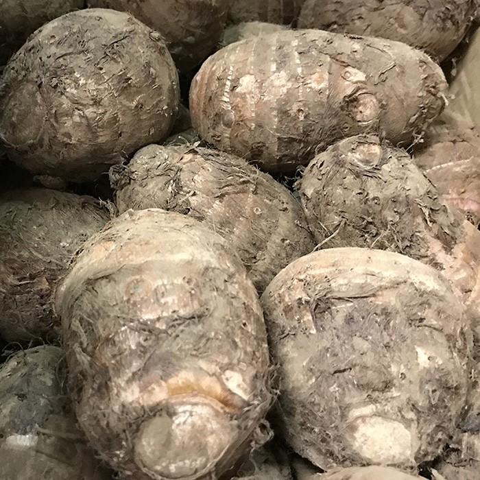 千葉県産 セレベス 2S〜Sサイズ 約5kg （箱） 国産 里芋 : 生鮮卸売