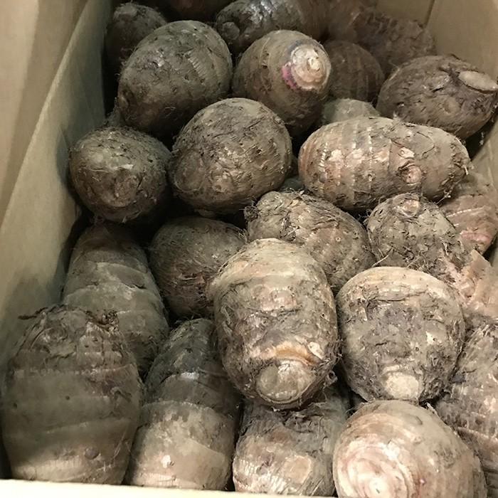 千葉県産 セレベス 2S〜Sサイズ 約5kg （箱） 国産 里芋 : 生鮮卸売