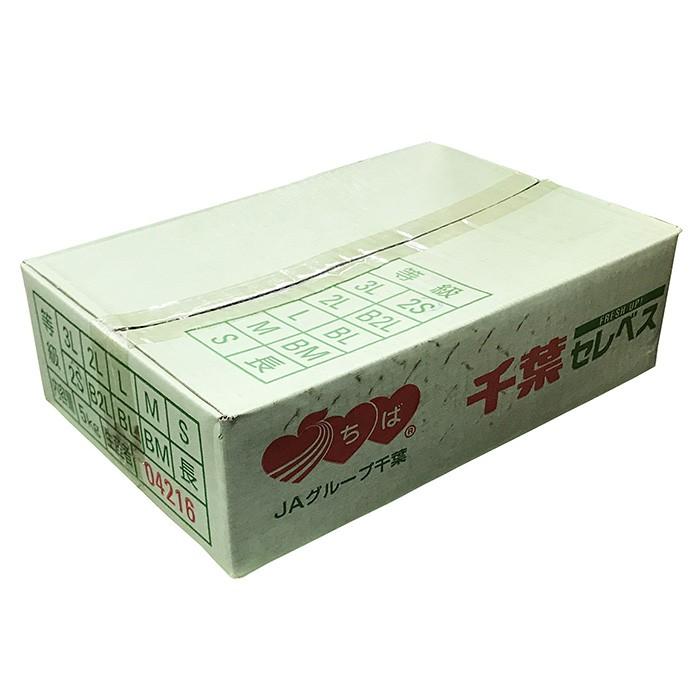 千葉県産 セレベス 2S〜Sサイズ 約5kg （箱） 国産 里芋 : 生鮮卸売