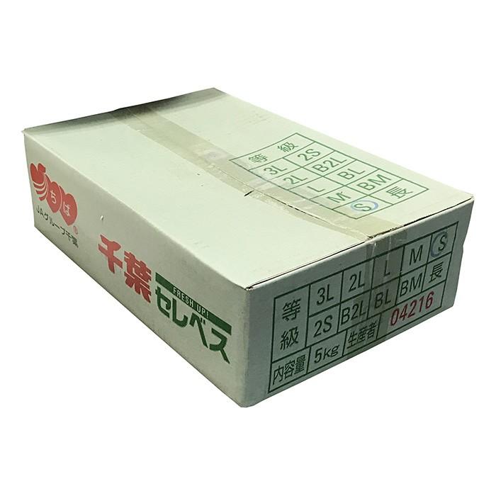 千葉県産 セレベス 2S〜Sサイズ 約5kg （箱） 国産 里芋 : 生鮮卸売