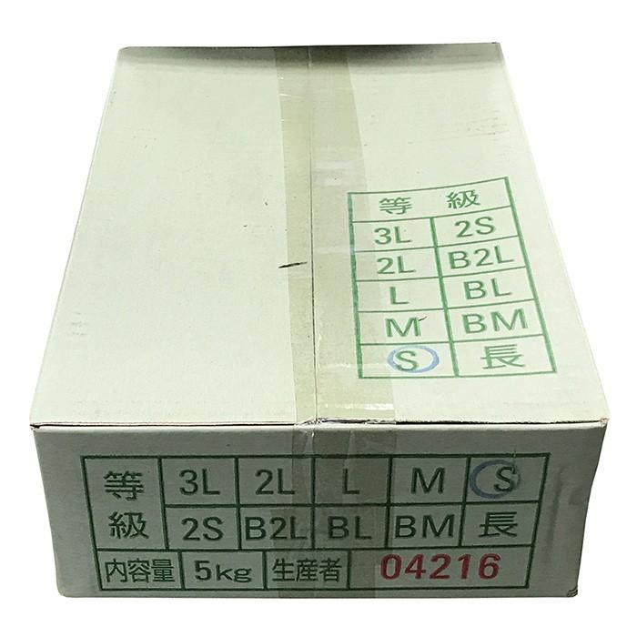 千葉県産 セレベス 2S〜Sサイズ 約5kg （箱） 国産 里芋 : 生鮮卸売