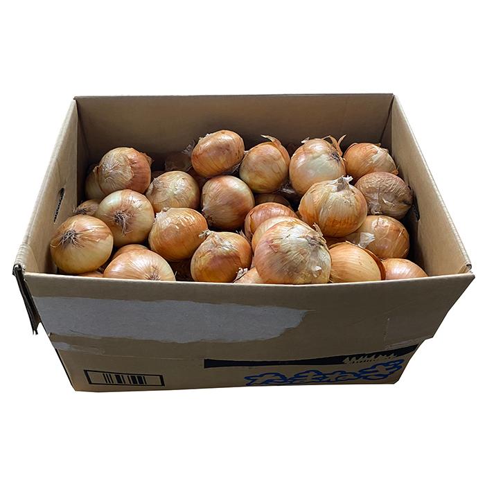 北海道産 玉ねぎ 秀品 Lサイズ 20kg (箱) : 生鮮卸売市場 北海道産 玉ねぎ 秀品 Lサイズ 20kg (箱) : 生鮮卸売市場