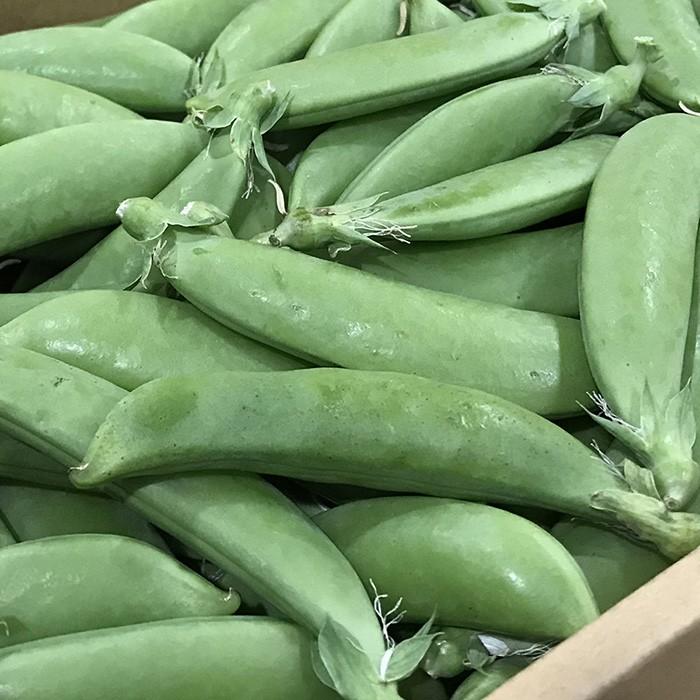 鹿児島県産他 スナップえんどう A等級・Lサイズ 1kg（箱） : 生鮮卸売