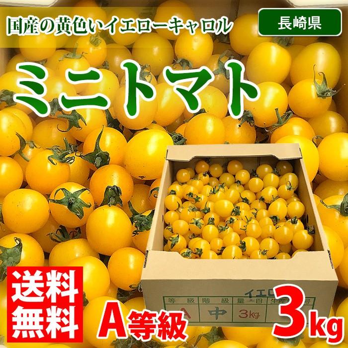 送料無料 長崎県産 ミニトマト イエロー 黄色 A等級 3kg 1箱 生鮮卸売市場 通販 Yahoo ショッピング