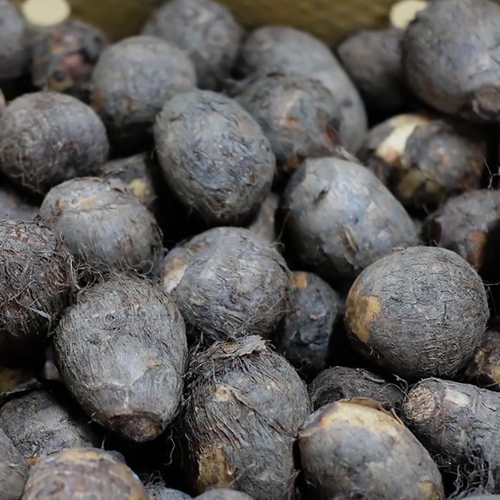 送料無料 愛媛県産 さといも 伊予美人 M Lサイズ 10kg 生鮮卸売市場 通販 Yahoo ショッピング