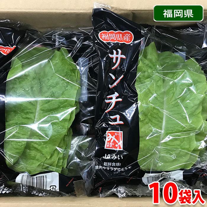 福岡県産 サンチュ 約30g×10袋入り（箱） : 生鮮卸売市場 - 通販