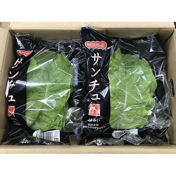 福岡県産 サンチュ 約30g×10袋入り（箱） : 生鮮卸売市場 - 通販