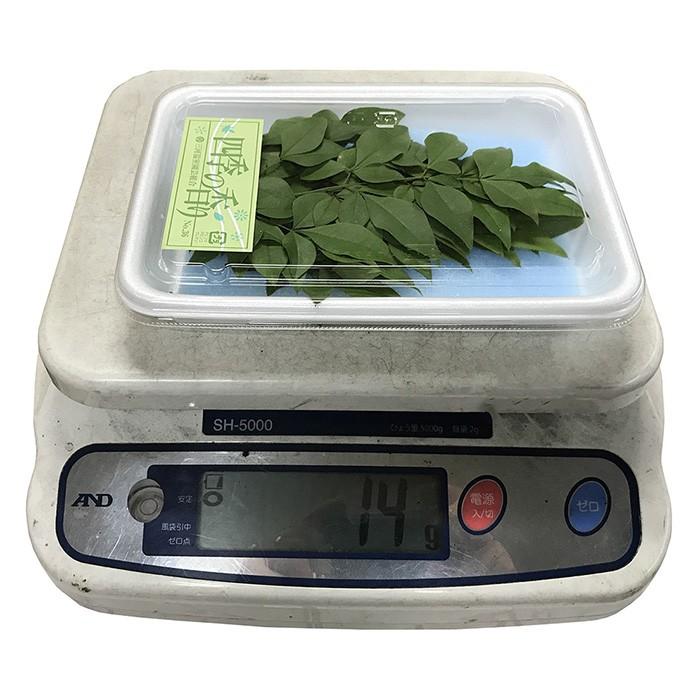 緑南天 タテ （縦詰め） 10枚入り 飾り葉 : 生鮮卸売市場 - 通販