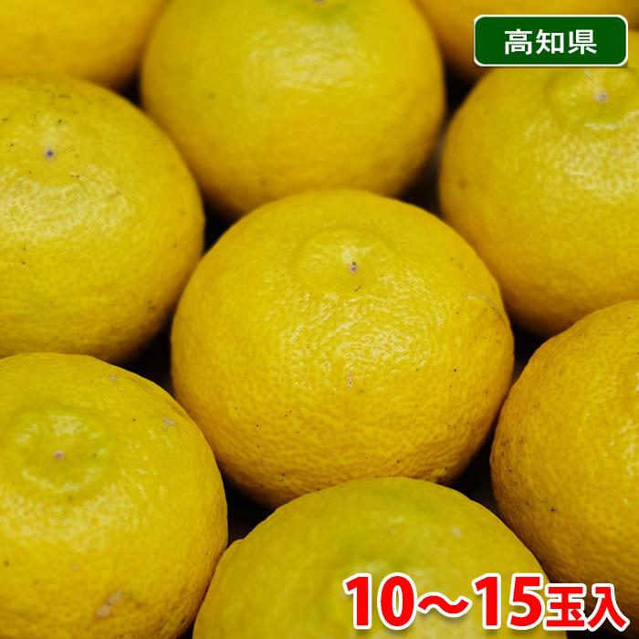 高知県産 黄色ゆず （黄色柚子） 優品以上 10〜15玉入り 約1.3kg