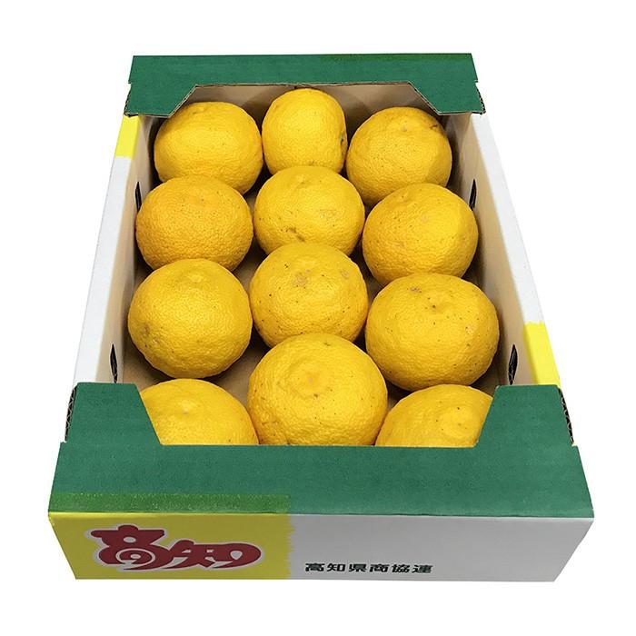 高知県産 黄色ゆず （黄色柚子） 優品以上 10〜15玉入り 約1.3kg