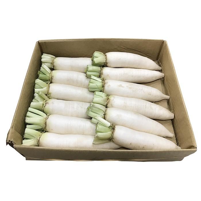 群馬県産 上州辛み大根 A等級 M〜Lサイズ（12〜14本入）箱 : 生鮮卸売
