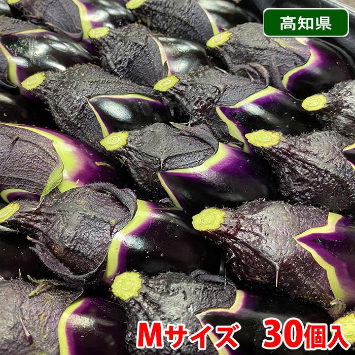 高知県産 小なす A等級 M階級 30個入(箱) :21710631-1:生鮮卸売市場 - 通販 - Yahoo!ショッピング 高知県産 小なす A等級 M階級 30個入(箱) :21710631-1:生鮮卸売市場 - 通販 - Yahoo!ショッピング