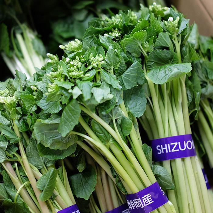 to.k 様　生わさび大小混合1kg分 to.k 様 生わさび大小混合1kg分