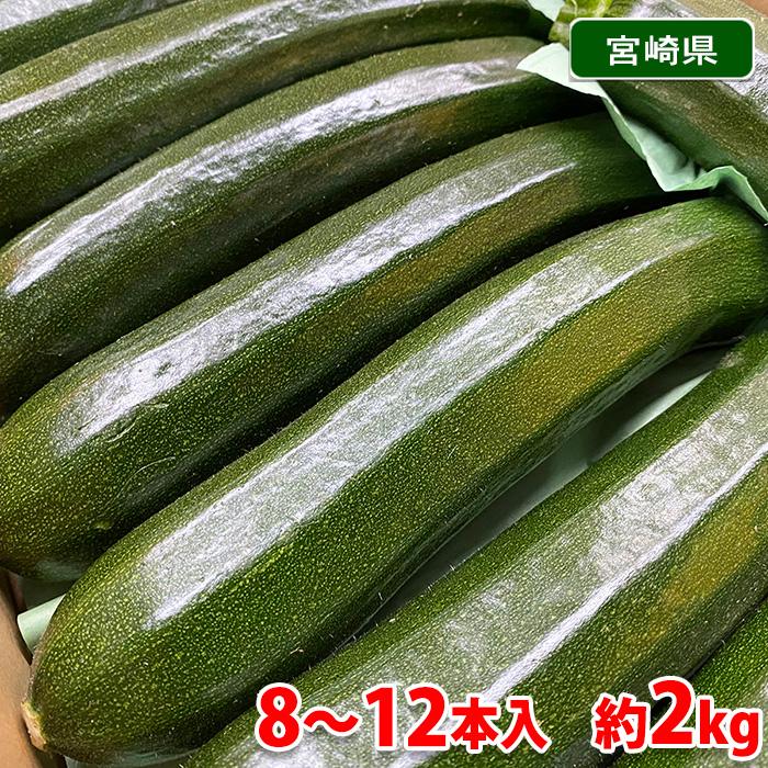 ブランドズッキーニ | 潤翠-JUNSUI- | 宮崎県産　Mサイズ　5箱セット 宮崎県産他 ズッキーニ 緑色 8〜12本入り （S〜Lサイズ） 約2kg （箱