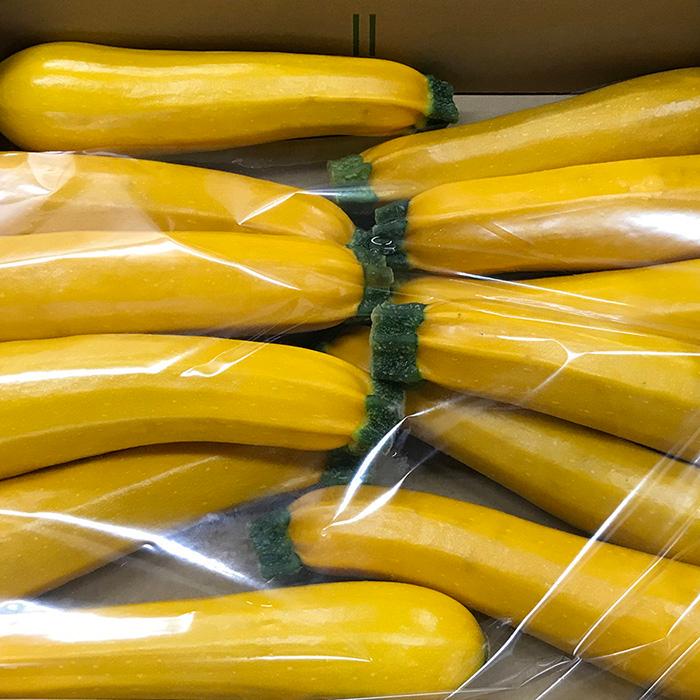 宮崎県産他 ズッキーニ 黄色 8〜12本入り （S〜Lサイズ） 約2kg （箱