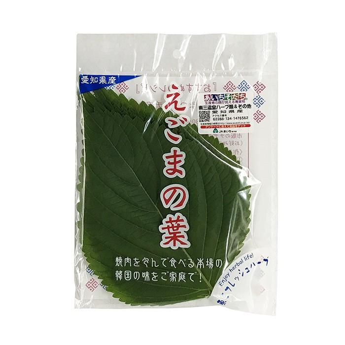 愛知県産 えごまの葉 秀品 Lサイズ 1パック(10枚入) : 生鮮 愛知県産 えごまの葉 秀品 Lサイズ 1パック(10枚入) : 生鮮