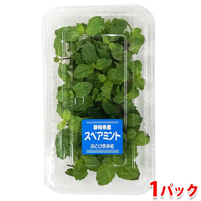 自家栽培(温室栽培) スペアミント 冷蔵便 自家栽培(温室栽培