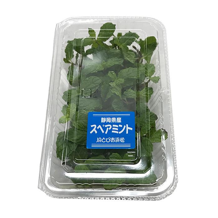 静岡県産 スペアミント 食用ハーブ 1パック 21710666 生鮮卸売市場 通販 