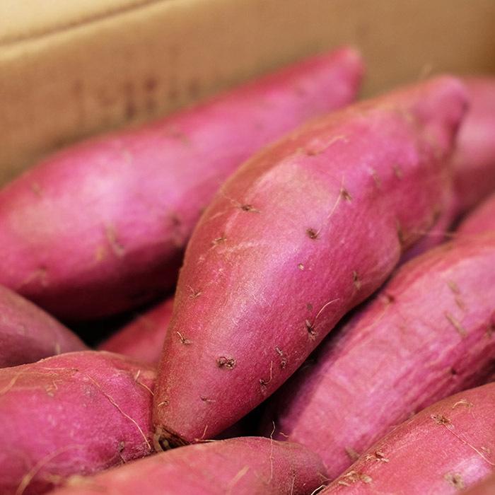 □シルクスイート□千葉県産□AMサイズ□約10キロ(5キロ×2ケース)□ 秀